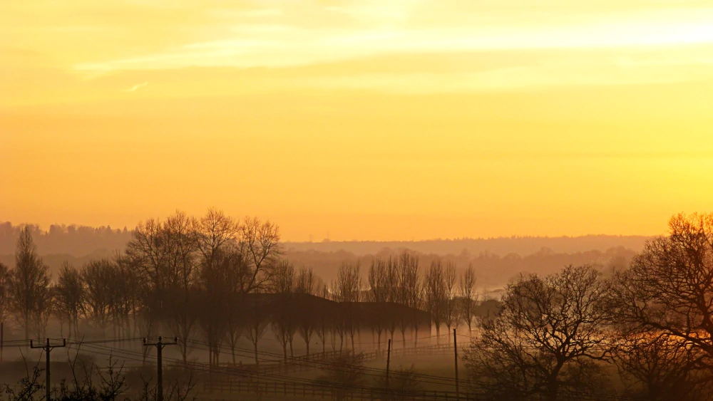English landscape in mist with sunset, Hampshire, England